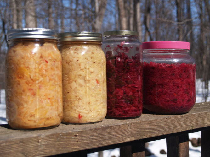 Quick Pickling or Lacto-Fermentation: Which Food Preservation Method is Right for You?